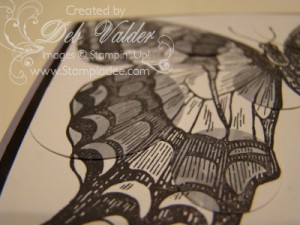 Swallowtail 2