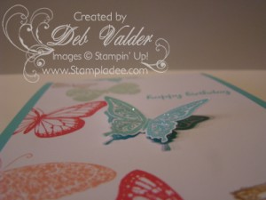 Best of Butterflies closeup