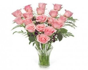 pink roses