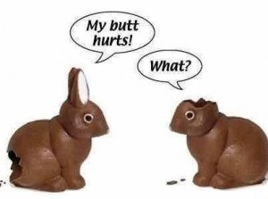 bunny picture
