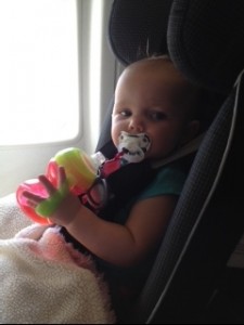 Izzy on the Jet Plane