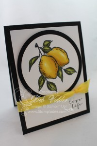 Blendabilities-deb-valder-stampladee-stampin-up-sale-a-bration