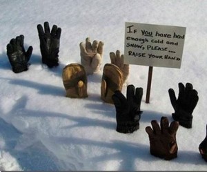 snow NO MORE