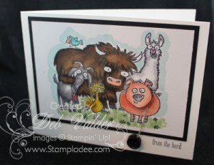 YoYo-spinner-card-blendabilities-from-the-herd-sale-a-bration-saleabration-deb-valder-stampladee-stampinup-1