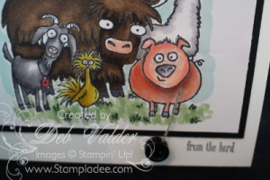 YoYo-spinner-card-blendabilities-from-the-herd-sale-a-bration-saleabration-deb-valder-stampladee-stampinup-2