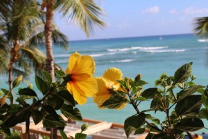 stampin-up-incentive-trip-hawaii-2015