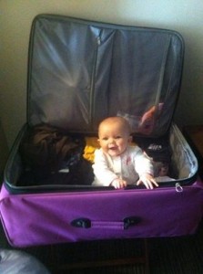 Izzy in suitcase #cuteness
