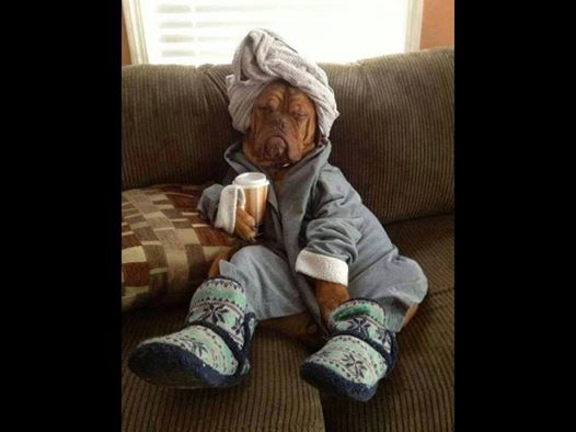 #3 Whimsy Wallpaper Third in the Series with Deb Valder