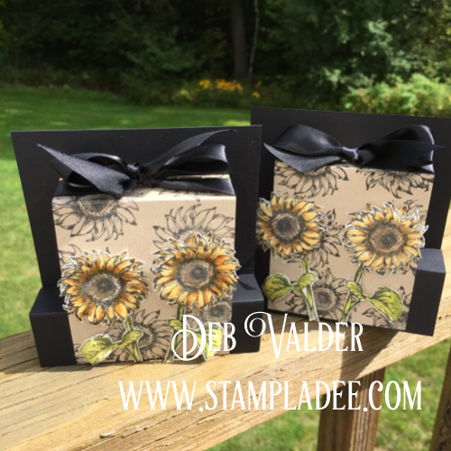 Hello Sunflower Bloom Box with Deb Valder