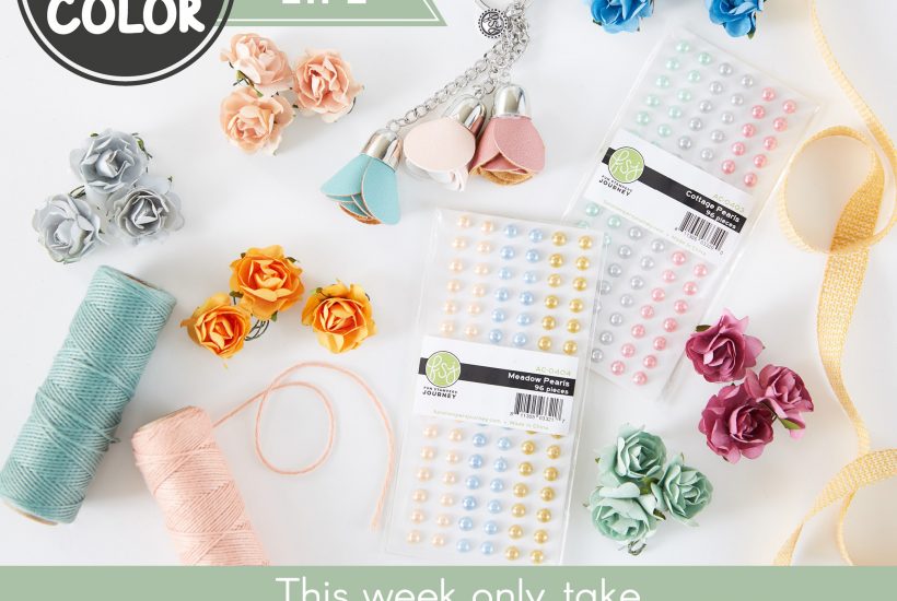 Week 1 Color Crush Life is Good