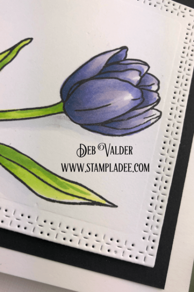 Learn to watercolor with watercolor pencils