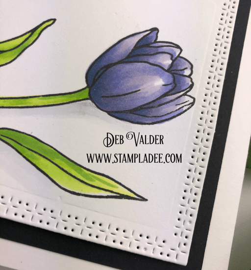 Learn to watercolor with watercolor pencils