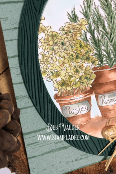 Watercoloring an herb garden with a shiplap background.