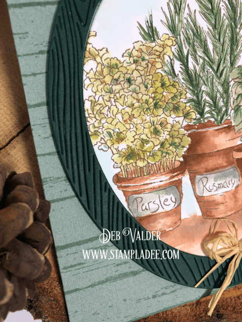 Watercoloring an herb garden with a shiplap background.