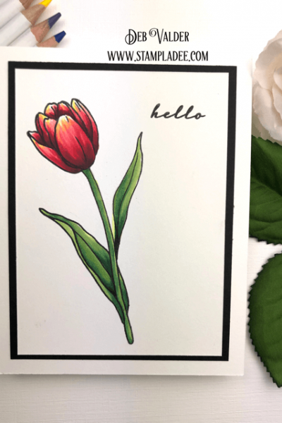 learn to Watercolor with watercolor pencils
