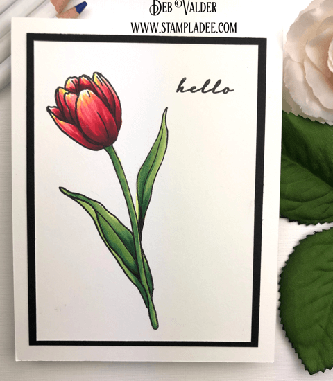 learn to Watercolor with watercolor pencils