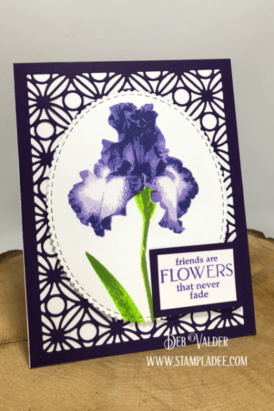 Iris are in bloom. All products can be found in our Teaspoon of Fun Shoppe.
