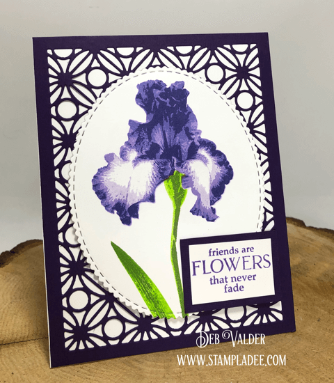 Iris are in bloom. All products can be found in our Teaspoon of Fun Shoppe.