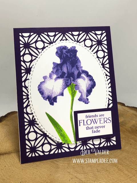 Iris are in bloom. All products can be found in our Teaspoon of Fun Shoppe.