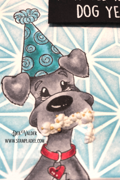 Doggone-It, Another Birthday found in our Teaspoon of Fun Shoppe