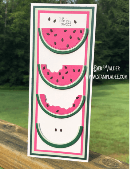 Slimline Watermelon Card is from our newest card kit found in the Teaspoon of Fun Shoppe.