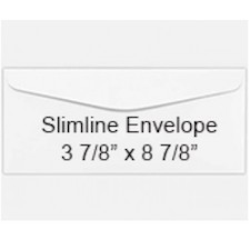 Teaspoon of Fun Slimline Envelopes