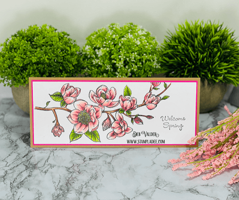 Spring Magnolia Card Kit is the newest kit in our Shoppe. All products can be found in our Teaspoon of Fun Shoppe.