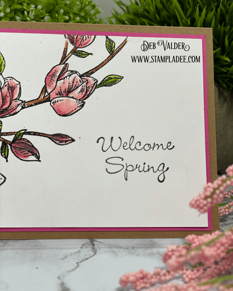 Spring Magnolia Card Kit is the newest kit in our Shoppe. All products can be found in our Teaspoon of Fun Shoppe.