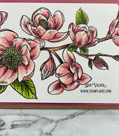 Spring Magnolia Card Kit is the newest kit in our Shoppe. All products can be found in our Teaspoon of Fun Shoppe.